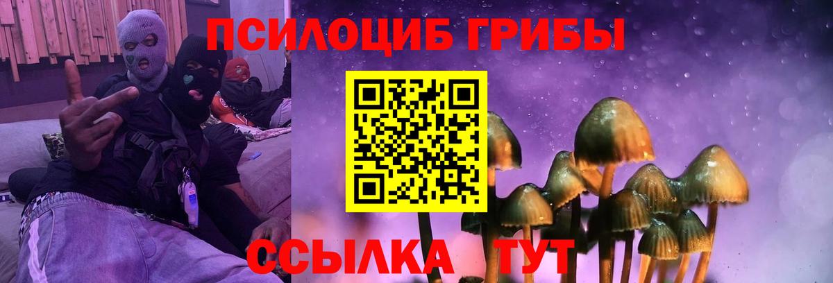 наркотики  Вход с VPN  Саранск  Псилоцибиновые грибы Psilocybe 