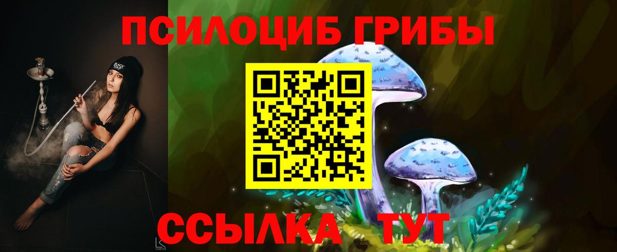 Галлюциногенные грибы мухоморы Саранск
